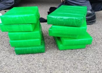 Kapen 11.5 kg kokainë në port, në pranga një shqiptar dhe një italian