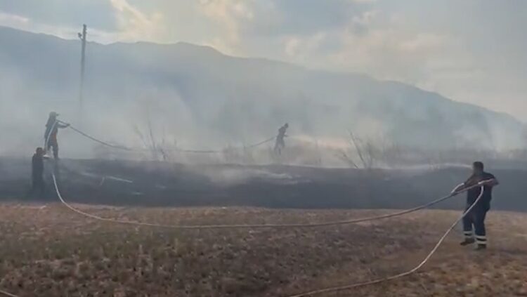 Gjirokastër/ Përfshihet nga flakët tregu i fruta-perimeve