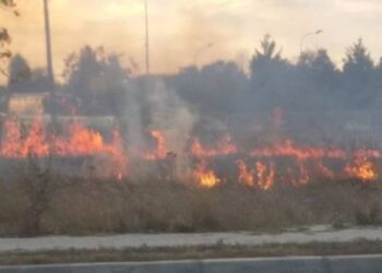 Tentoi të digjte mbetjet bujqësore në tokën e tij, vdes i asfiksuar nga zjarri 75-vjeçari