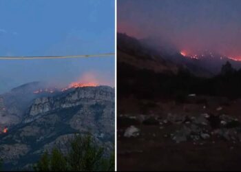 Zjarri në Vaun e Dejës përhapet në drejtim të Lezhës, rrezikohen zonat e banuara