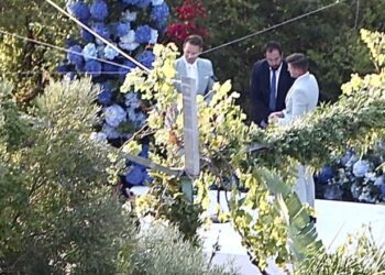 Lideri i Syriza-s martohet me partnerin e tij në një ceremoni private