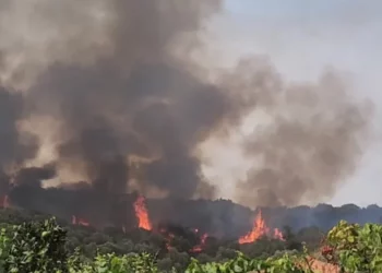 Zjarr masiv në Fier/ Terreni i vështirë bën të pamundur ndërhyrjen e zjarrfikësve