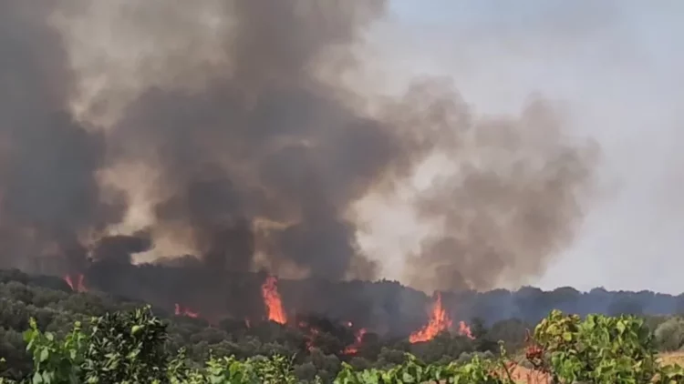 Zjarr masiv në Fier/ Terreni i vështirë bën të pamundur ndërhyrjen e zjarrfikësve