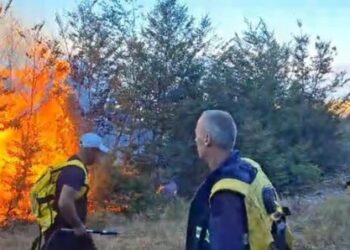 Vatër zjarri edhe në Parkun Natyror Korab-Koritnik