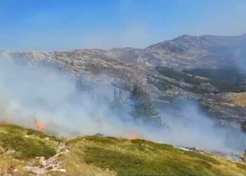 Në pritje të helikopterit, zjarri përhapet me shpejtësi drejt pikës doganore Goricë