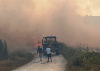 Zjarr te plazhi i Gjeneralit, rrezikohen banesat