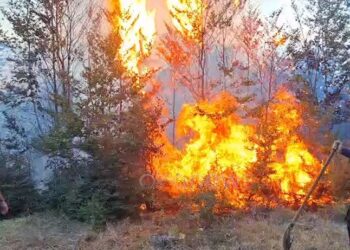 Tjetër vatër zjarri shfaqet në Maqellarë, nis ndërhyrja nga toka