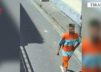 Vodhi 9 milionë lekë në një banesë, arrestohet 30-vjeçari në Tiranë – Video