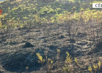 Ndezi zjarr në stanin e tij dhe dogji një sipërfaqe publike, arrestohet 67-vjeçari në Cërrik