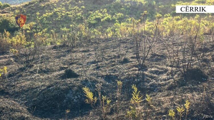 Ndezi zjarr në stanin e tij dhe dogji një sipërfaqe publike, arrestohet 67-vjeçari në Cërrik