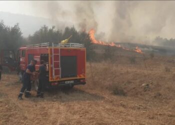 Vatër zjarri e madhe në Çerragë të Belshit, përfshihen pemishtet