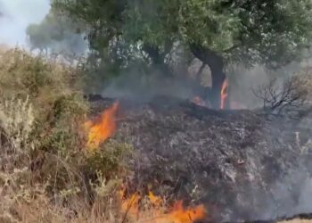 Zjarri në fshatin Brailat të Finiqit ka hyrë në disa shtëpi (VIDEO)