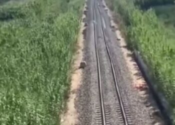 Hekurudha Tiranë-Durrës/ Meta publikon videon: Këtu mund të kalojë gjarpri, por jo treni