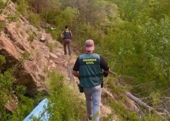 U kap duke kultivuar 1630 bimë kanabisi, arrestohet 44-vjeçari shqiptar në Spanjë