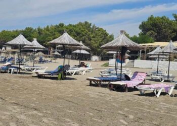 Teliti këshillon qeverinë: Turizmi rritet me investime, masa konkrete dhe politika taksimi të duhura