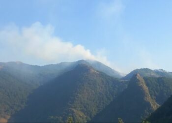 Nga Tirana zjarri kalon në Klos, rrezikohen pyjet e Ketës