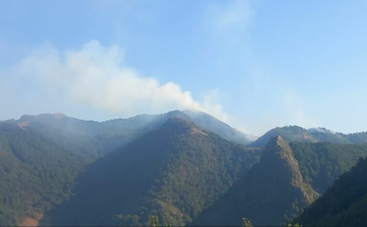 Nga Tirana zjarri kalon në Klos, rrezikohen pyjet e Ketës