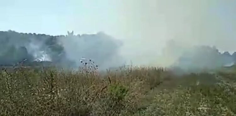 Zjarr në Dimal, flakët rrezikojnë të djegin serat e zonës