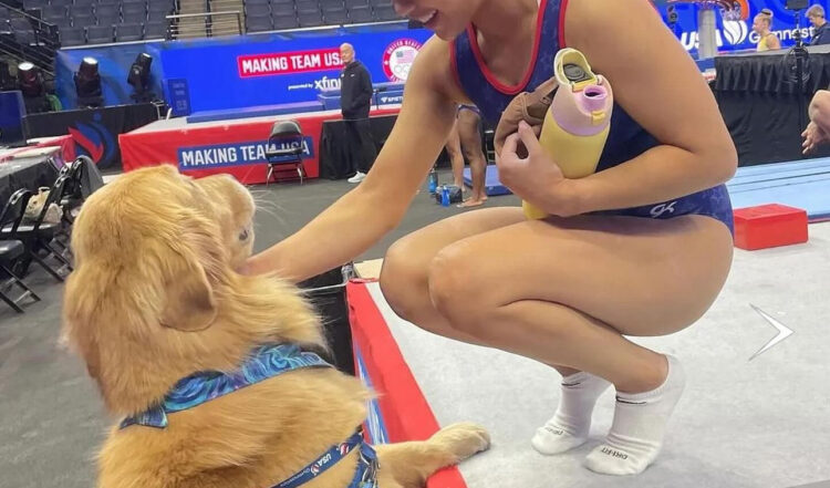 Njihuni me Beacon, qeni “hero” që po ndihmon garuesit në Paris të menaxhojnë stresin