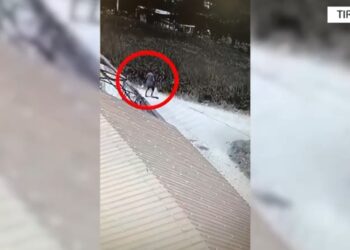 Vuri zjarr me dashje në tokën e kushuritit, arrestohet 58-vjeçari