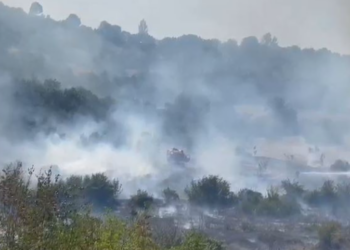 Zjarr në malin e Gjalicës, era favorizon përhapjen e flakëve