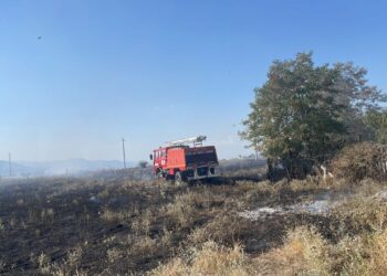 Zjarr i madh në një magazinë në Drenovë, pranë ndodhen shtëpitë (Pamjet)