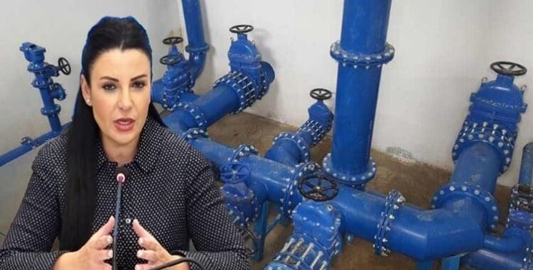 Drejtorët e emëruar janë marioneta të Ballukut që firmosin letrat e tenderave sipas dëshirës së saj.