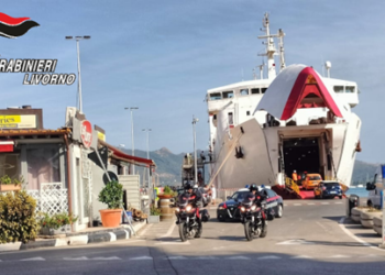 Aksion antidrogë në Itali, mes 4 të arrestuarve edhe dy shqiptarë