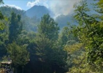 Zjarr në Theth, rrezikohen banesat