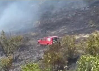 Zjarr në fshatin Drenovicë të Dimalit, flakët favorizohen nga era