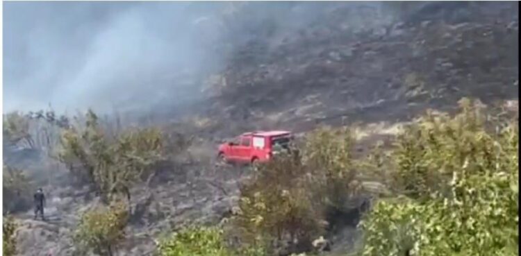 Zjarr në fshatin Drenovicë të Dimalit, flakët favorizohen nga era