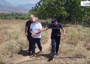 Kishte kultivuar kanabis në oborrin e banesës së tij, vihet në pranga autori! I sekuestrohen 2 kg drogë