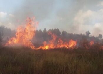 Zjarri përfshin kodrat e fshatit Kostar në Finiq