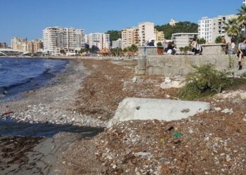 Komandant, na thuaj cilat revista, gazeta e portale duhet të lexojmë!