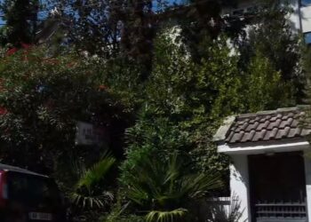 Vrasja në azil, ndalohen nga Policia kryeinfermierja dhe infermierja e turnit