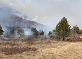 Zjarr në kodrat me bajame dhe ullinj në Berat, zjarrfikësit me mjete rrethanore