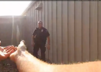 Dalin pamje të reja pak para atentatit ndaj Trump/ Polici zbulon agresorin mbi çati, por s’e qëllon