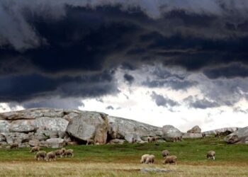 U godit nga rrufeja, gjendjet pa shenja jete 45-vjeçari në Lushnjë