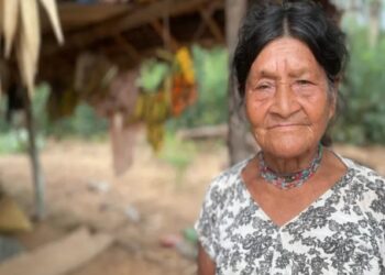 Jetojnë thellë në pyjet tropikale, komuniteti që ka habitur shkencëtarët