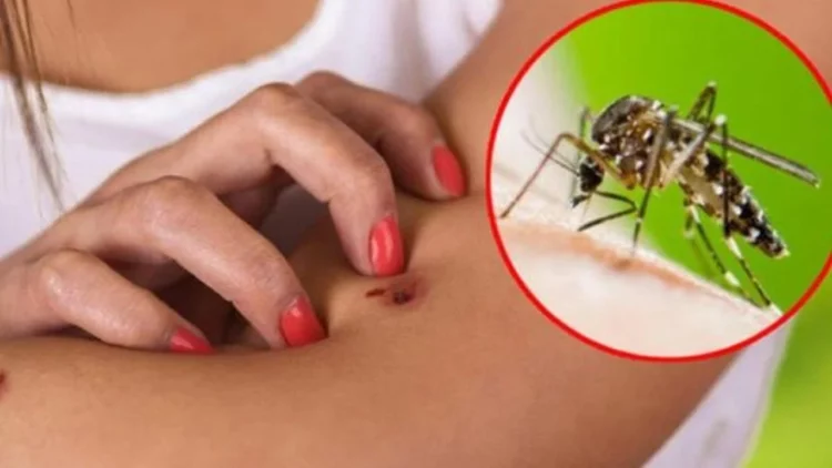 Konfirmohen dy raste me ethet e Nilit në Elbasan