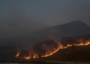 Zjarri përfshin kodrat e Salarisë në Tepelenë, digjen sipërfaqe të mëdha