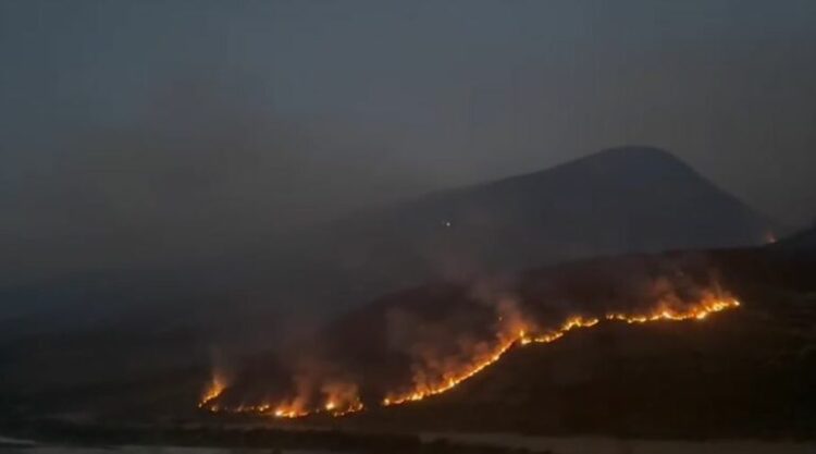Zjarri përfshin kodrat e Salarisë në Tepelenë, digjen sipërfaqe të mëdha