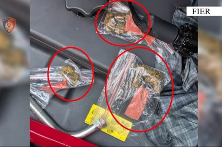 Lëviznin me armë dhe me drogë gati për shitje, pranga dy personave në Fier