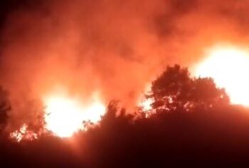 Zjarr i fuqishëm pranë Pyllit të Sodës në Vlorë, rrezikohen banesat përreth