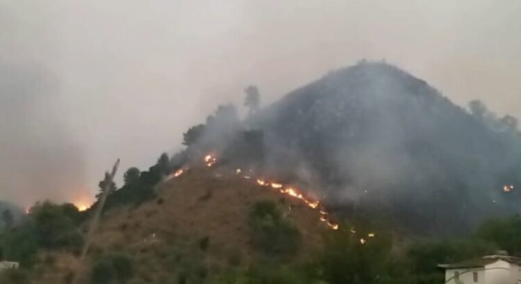Delvina mes zjarreve, në tri lagje përkeqësohet situata