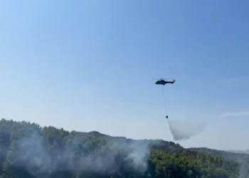 Zjarri në Mengaj të Kavajës/ Digjen rreth 3 hektarë tokë, ndërhyhet nga ajri