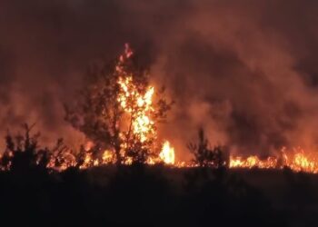 Ndezi zjarrin në Burrel, procedohet penalisht 68-vjeçari