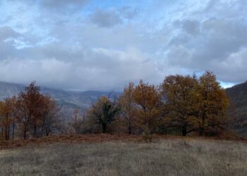 Parashikimi i motit, 20 Gusht 2024