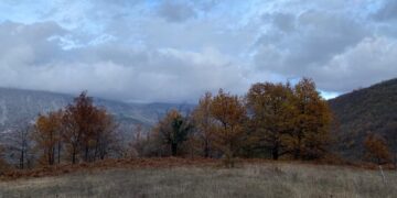 Parashikimi i motit, 20 Gusht 2024