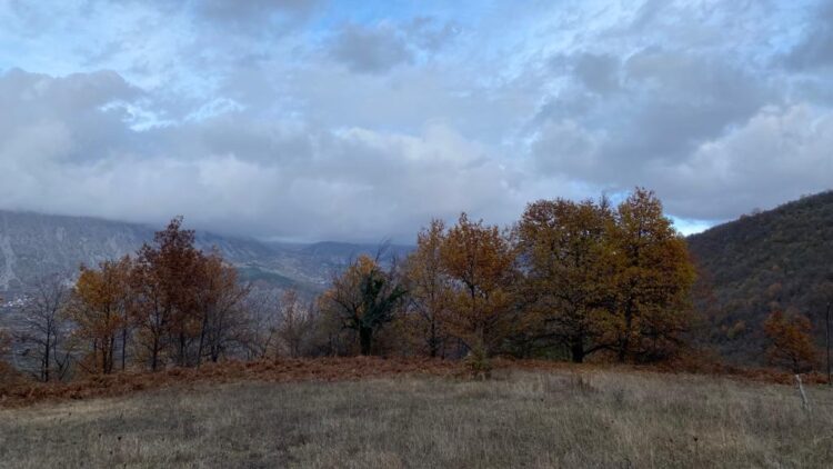 Parashikimi i motit, 20 Gusht 2024